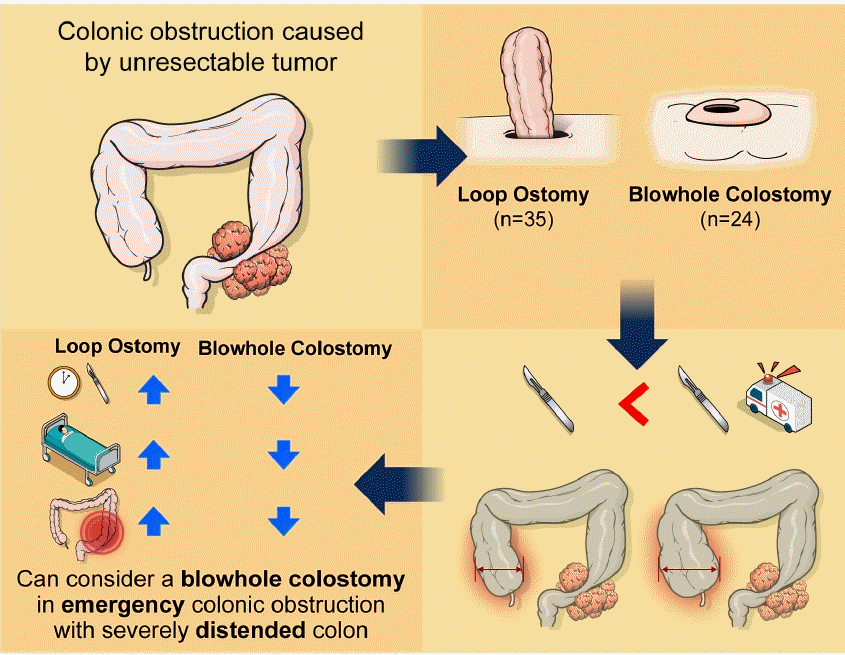 Annals of Coloproctology